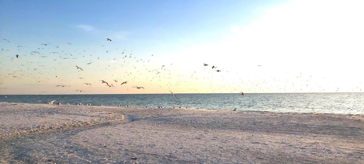 Sunset Vistas 407S Villa St. Pete Beach Buitenkant foto