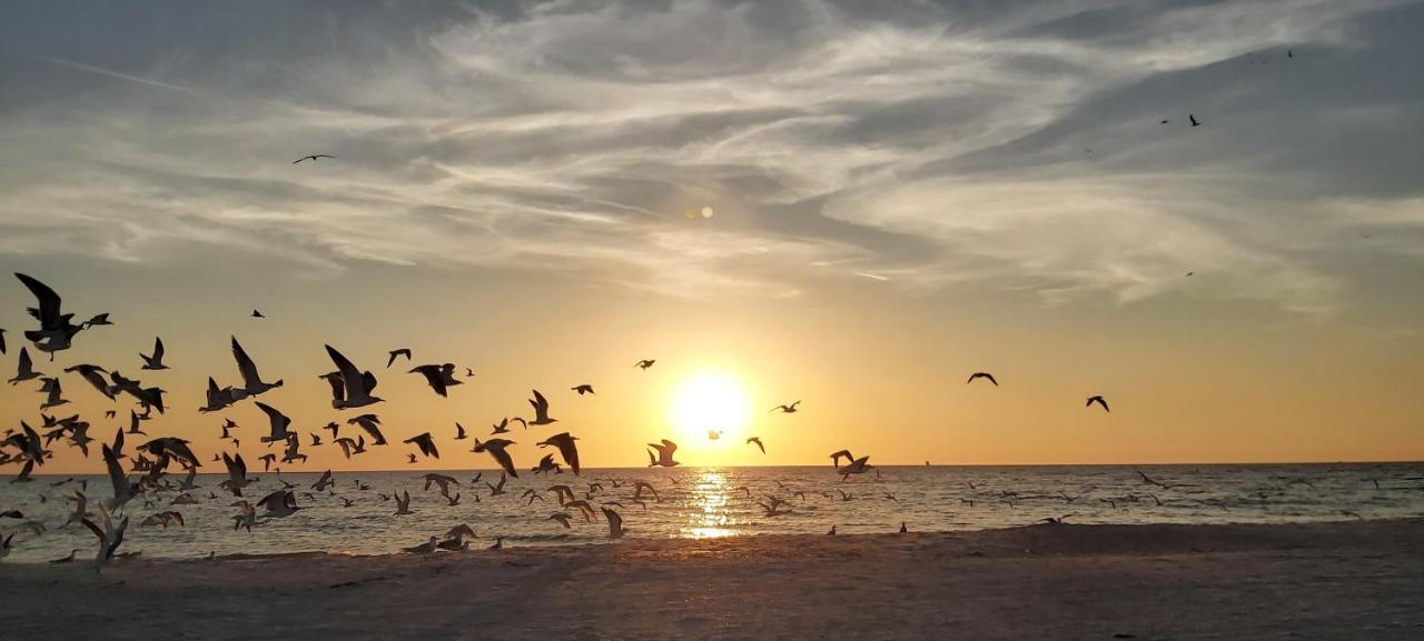 Sunset Vistas 407S Villa St. Pete Beach Buitenkant foto